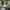 https://res.cloudinary.com/billionhands/image/upload/v1770829710/items/gb0ik7bnrt185jjb5zkd.jpg-3cover