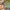 https://res.cloudinary.com/billionhands/image/upload/v1770829715/items/gmw4p6bqoin1y7iqyxq8.jpg-2cover