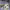https://res.cloudinary.com/billionhands/image/upload/v1770829737/items/csacgqmrrrcmk2rkzuxp.jpg-3cover
