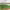 https://res.cloudinary.com/billionhands/image/upload/v1770829746/items/tisveox7b81expzmjp12.jpg-3cover