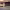 https://res.cloudinary.com/billionhands/image/upload/v1770829751/items/avosq7borahzvqfjl1mb.jpg-3cover