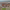 https://res.cloudinary.com/billionhands/image/upload/v1770829762/items/iol2jbm81dnmmyvzqjwq.jpg-2cover