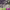https://res.cloudinary.com/billionhands/image/upload/v1770829763/items/wr81zaddgazbhspiclxk.jpg-3cover