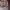 https://res.cloudinary.com/billionhands/image/upload/v1770829771/items/j9jslwwa6z6ovhfgyhyy.jpg-2cover