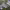 https://res.cloudinary.com/billionhands/image/upload/v1770829784/items/omi9rbn40tlsmjekkrok.jpg-0cover