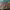 https://res.cloudinary.com/billionhands/image/upload/v1770829789/items/dhrsnfc6x6qycjywysin.jpg-3cover