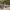 https://res.cloudinary.com/billionhands/image/upload/v1770829793/items/nymcf2ljtqoxk1kbl4go.jpg-1cover