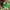 https://res.cloudinary.com/billionhands/image/upload/v1770829793/items/qvxpk2vnhmbet7fsrjky.jpg-3cover