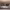 https://res.cloudinary.com/billionhands/image/upload/v1770829826/items/rvpzvoirdjlf1s1f9aqv.jpg-1cover