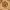 https://res.cloudinary.com/billionhands/image/upload/v1770829854/items/kkngrnj5w2dhdnfczzin.jpg-3cover