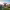 https://res.cloudinary.com/billionhands/image/upload/v1770829915/items/uw0lc9mygpq5fav5dtrh.webp-0cover