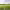 https://res.cloudinary.com/billionhands/image/upload/v1770829920/items/o5c0azsbig4bysvg7htf.jpg-2cover