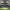 https://res.cloudinary.com/billionhands/image/upload/v1770829931/items/dqpdp1wnhvdvhyhthgh7.jpg-1cover