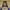 https://res.cloudinary.com/billionhands/image/upload/v1770829958/items/zdxwrjyda7bg6nwzgyc1.jpg-3cover