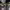 https://res.cloudinary.com/billionhands/image/upload/v1770829967/items/bjrf5rsftjzavot4l736.jpg-2cover