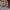 https://res.cloudinary.com/billionhands/image/upload/v1770829969/items/elghtd1ifrnorc3bv3aa.jpg-0cover