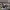 https://res.cloudinary.com/billionhands/image/upload/v1770829969/items/ndc2at55ygxmma6wkcv3.jpg-0cover