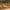 https://res.cloudinary.com/billionhands/image/upload/v1770829971/items/nbcefekay7kfpu0okgkr.jpg-0cover