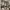 https://res.cloudinary.com/billionhands/image/upload/v1770829971/items/tiluxb1vbon9jcs1jbzn.webp-2cover