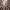 https://res.cloudinary.com/billionhands/image/upload/v1770829974/items/euiakusb4yhax9ukypj4.jpg-3cover