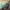 https://res.cloudinary.com/billionhands/image/upload/v1770829977/items/naq0pqeif83vcxniw6yu.jpg-3cover