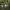 https://res.cloudinary.com/billionhands/image/upload/v1770829986/items/e21av1yuvyknqxsfygrg.jpg-3cover