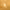 https://res.cloudinary.com/billionhands/image/upload/v1770829987/items/eubxysmtay37imimfywo.jpg-2cover