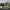 https://res.cloudinary.com/billionhands/image/upload/v1770829993/items/pxttearnkxkfheduym1x.jpg-0cover