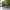 https://res.cloudinary.com/billionhands/image/upload/v1770829994/items/gs8oazjkhocye4p5umwh.jpg-3cover