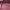 https://res.cloudinary.com/billionhands/image/upload/v1770830015/items/fiu9lgnqkuaxiakm0aeb.webp-0cover