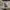 https://res.cloudinary.com/billionhands/image/upload/v1770830031/items/pyowg5kzkjlzmt9cfj3b.jpg-1cover