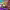 https://res.cloudinary.com/billionhands/image/upload/v1770830060/items/tu9jhasgnxeujqufujk1.png-1cover
