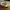 https://res.cloudinary.com/billionhands/image/upload/v1770830093/items/auswqskthduvdhr1eptg.jpg-2cover