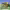 https://res.cloudinary.com/billionhands/image/upload/v1770830095/items/rdmfwejfapzppwhhz5cr.jpg-1cover