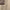 https://res.cloudinary.com/billionhands/image/upload/v1770830120/items/byjyhlnmcavqrodu1pde.webp-2cover