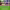https://res.cloudinary.com/billionhands/image/upload/v1770830122/items/rpfst9gfbmaw6jmgfkck.jpg-2cover
