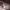 https://res.cloudinary.com/billionhands/image/upload/v1770830162/items/u04hqnqff4bxt3prmm6d.jpg-0cover