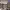 https://res.cloudinary.com/billionhands/image/upload/v1770830166/items/lvlwrd8a2t9zvjgw3gnu.jpg-2cover