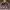 https://res.cloudinary.com/billionhands/image/upload/v1770830207/items/nukvi3oc5znki63cya2v.jpg-0cover