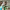 https://res.cloudinary.com/billionhands/image/upload/v1770830207/items/vuhzgktgzrkyjtxri70k.jpg-1cover
