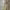 https://res.cloudinary.com/billionhands/image/upload/v1770830222/items/f8k7ket0cj2woeaysgdd.jpg-1cover