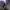 https://res.cloudinary.com/billionhands/image/upload/v1770830239/items/bkm9zlhlk9njvc9fzmvt.jpg-1cover