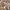 https://res.cloudinary.com/billionhands/image/upload/v1770830242/items/ht1dmde40eo5ipwisnst.webp-2cover