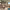 https://res.cloudinary.com/billionhands/image/upload/v1770830243/items/aqszwctyp8axpi8jqd7n.jpg-1cover