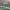 https://res.cloudinary.com/billionhands/image/upload/v1770830247/items/rwwlgsuy8qlclvx9zc2j.webp-2cover