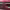 https://res.cloudinary.com/billionhands/image/upload/v1770830308/items/zgqrsakt3qivc28swlt7.jpg-0cover