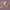 https://res.cloudinary.com/billionhands/image/upload/v1770830362/items/eowvfgeua9l5ifjc958e.jpg-3cover