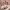 https://res.cloudinary.com/billionhands/image/upload/v1770830366/items/tepiqt6vdz4u8suc8fc4.webp-2cover