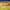 https://res.cloudinary.com/billionhands/image/upload/v1770830368/items/kw3a3dxe8u5mdvs6qxxs.webp-3cover