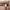 https://res.cloudinary.com/billionhands/image/upload/v1770830376/items/ktyw0noqcdfytsl3bczm.jpg-2cover